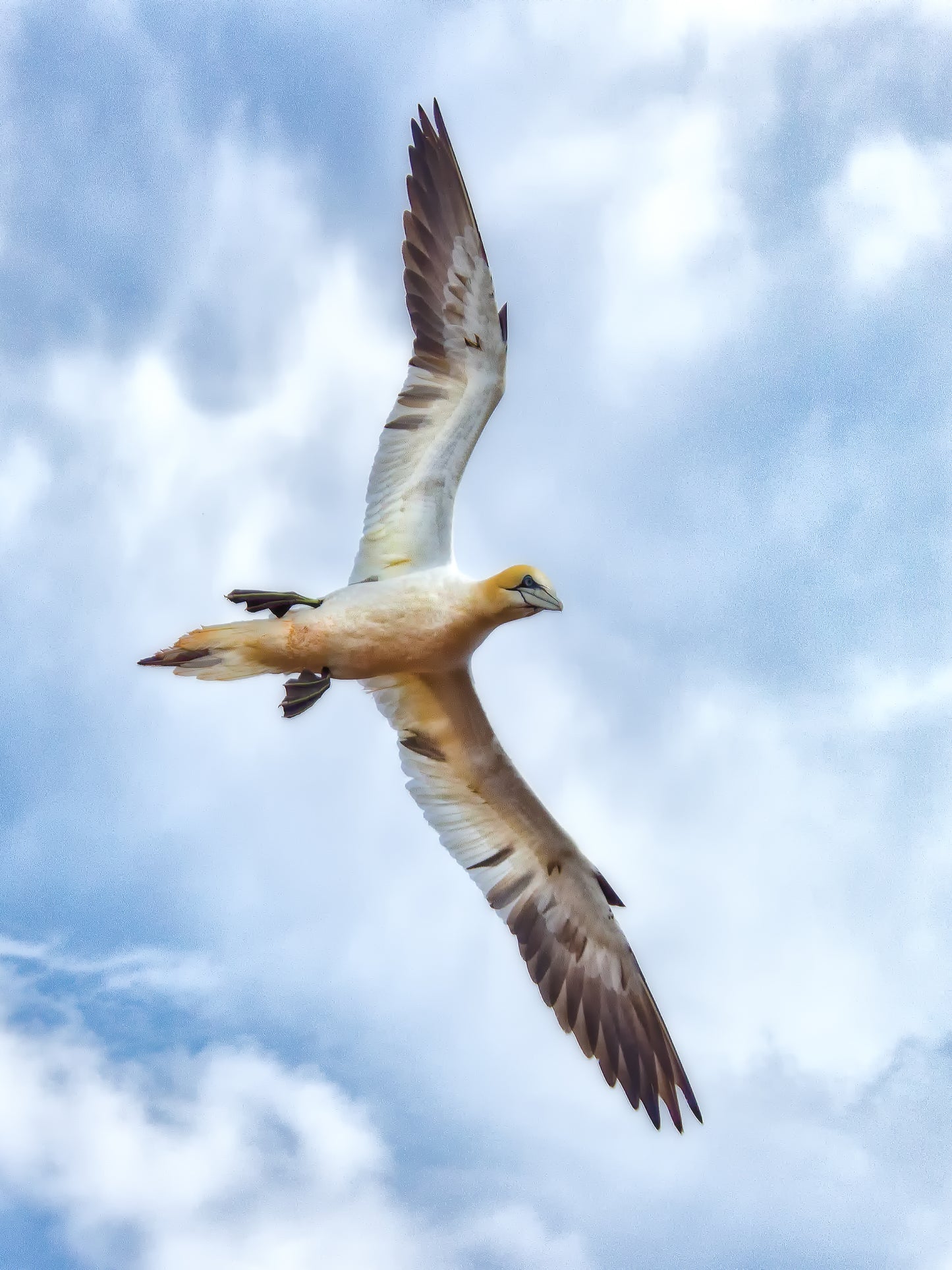 Helgoland incl. 3 workshops