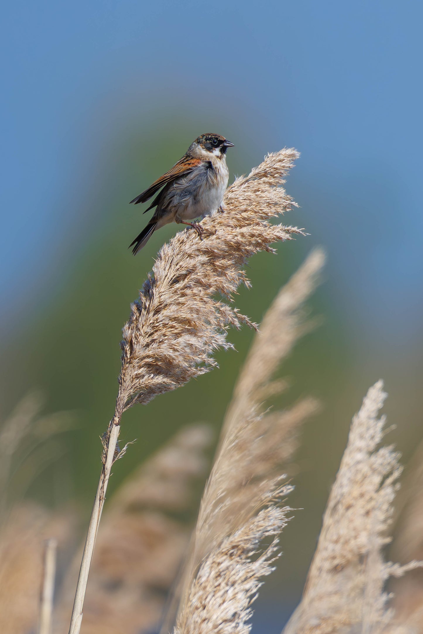 Natuurfotografie Weekend | 2 dagen, 3 workshops!