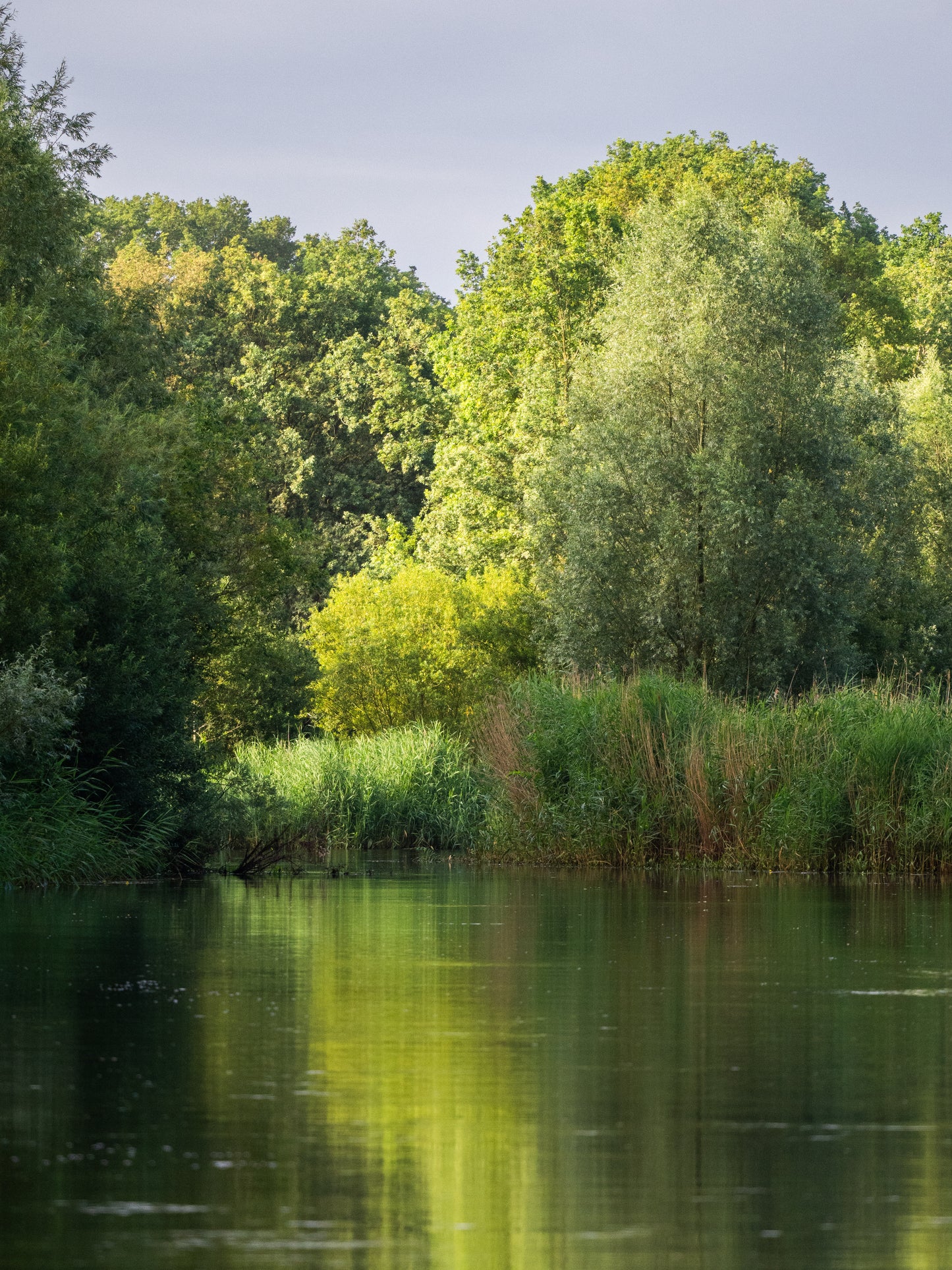 Fotografie Safari | Varen over de Regge | Ommen