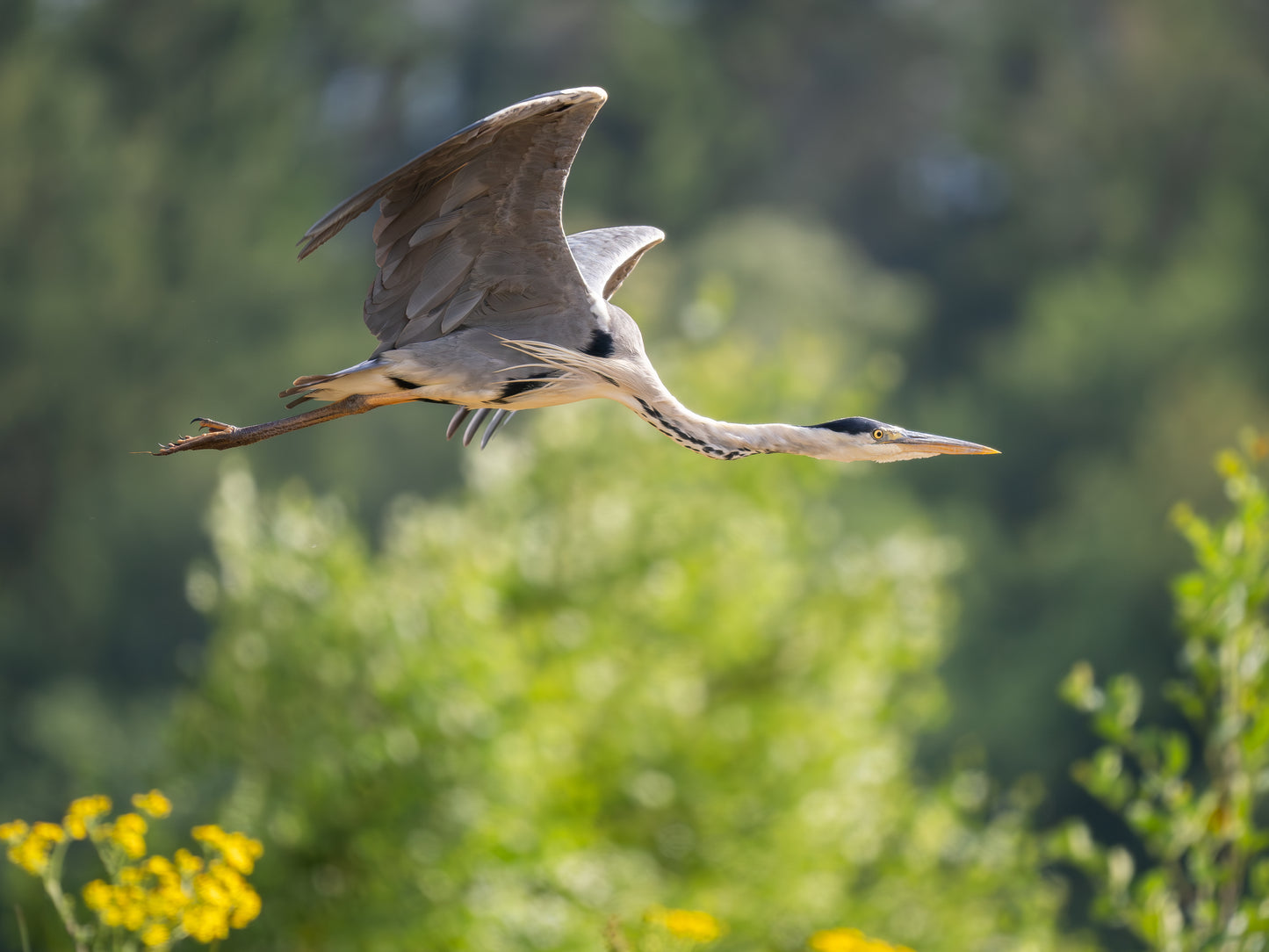 Fotografie Safari | Varen over de Regge | Ommen