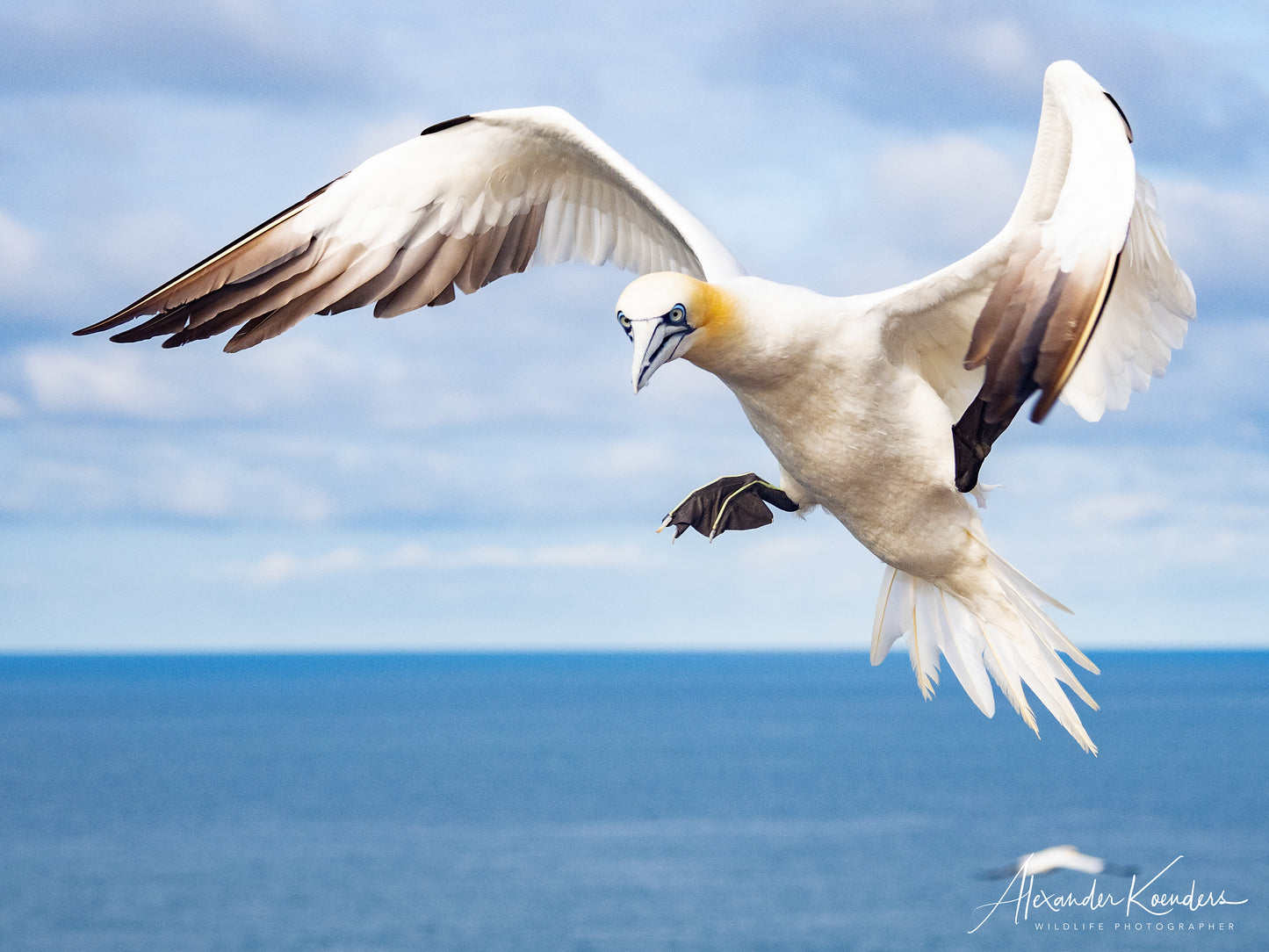 Helgoland incl. 3 workshops