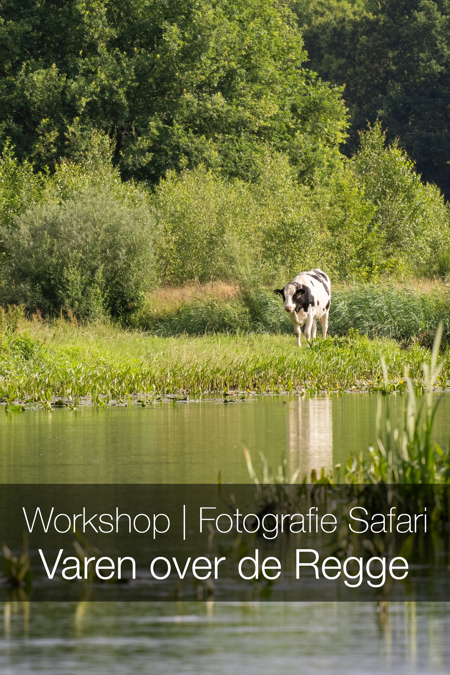 Fotografie Safari | Varen over de Regge | Ommen