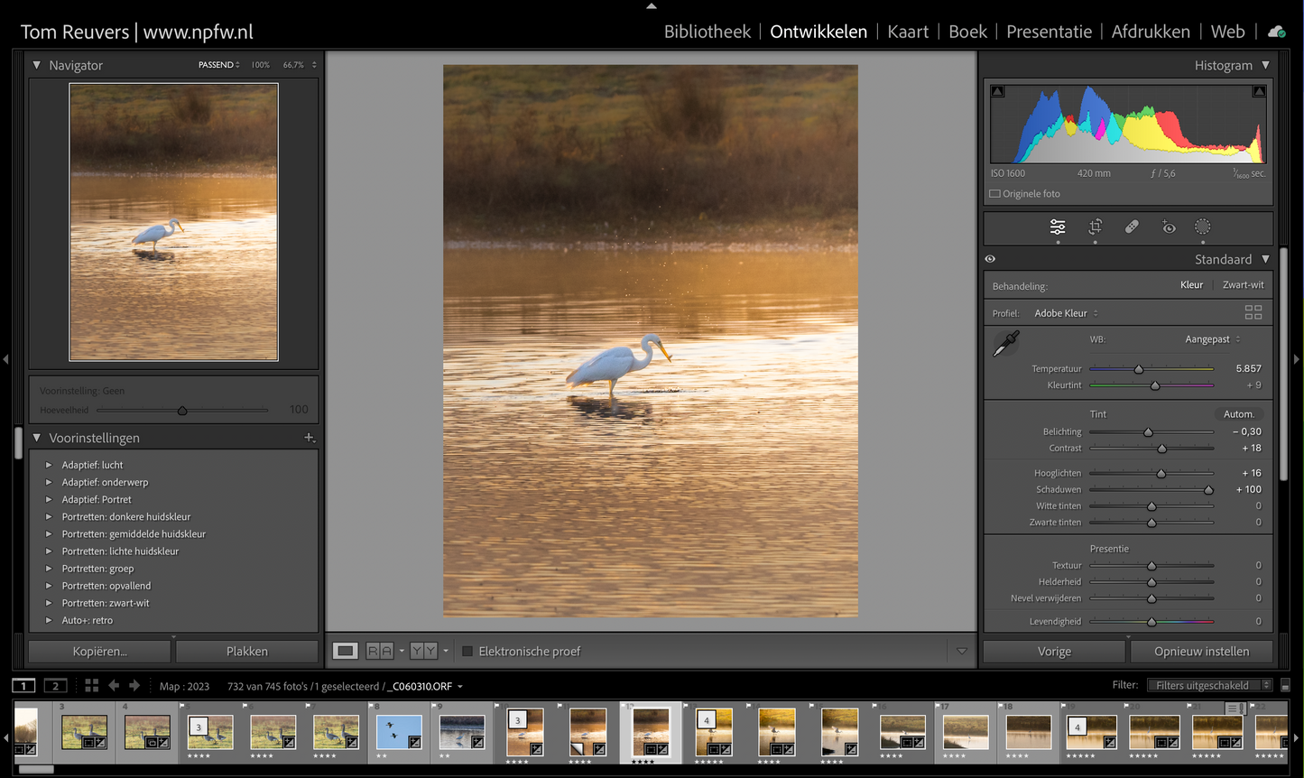 Online Cursus Adobe Lightroom Classic | 3 avonden LIVE incl. 180 dagen terugkijken
