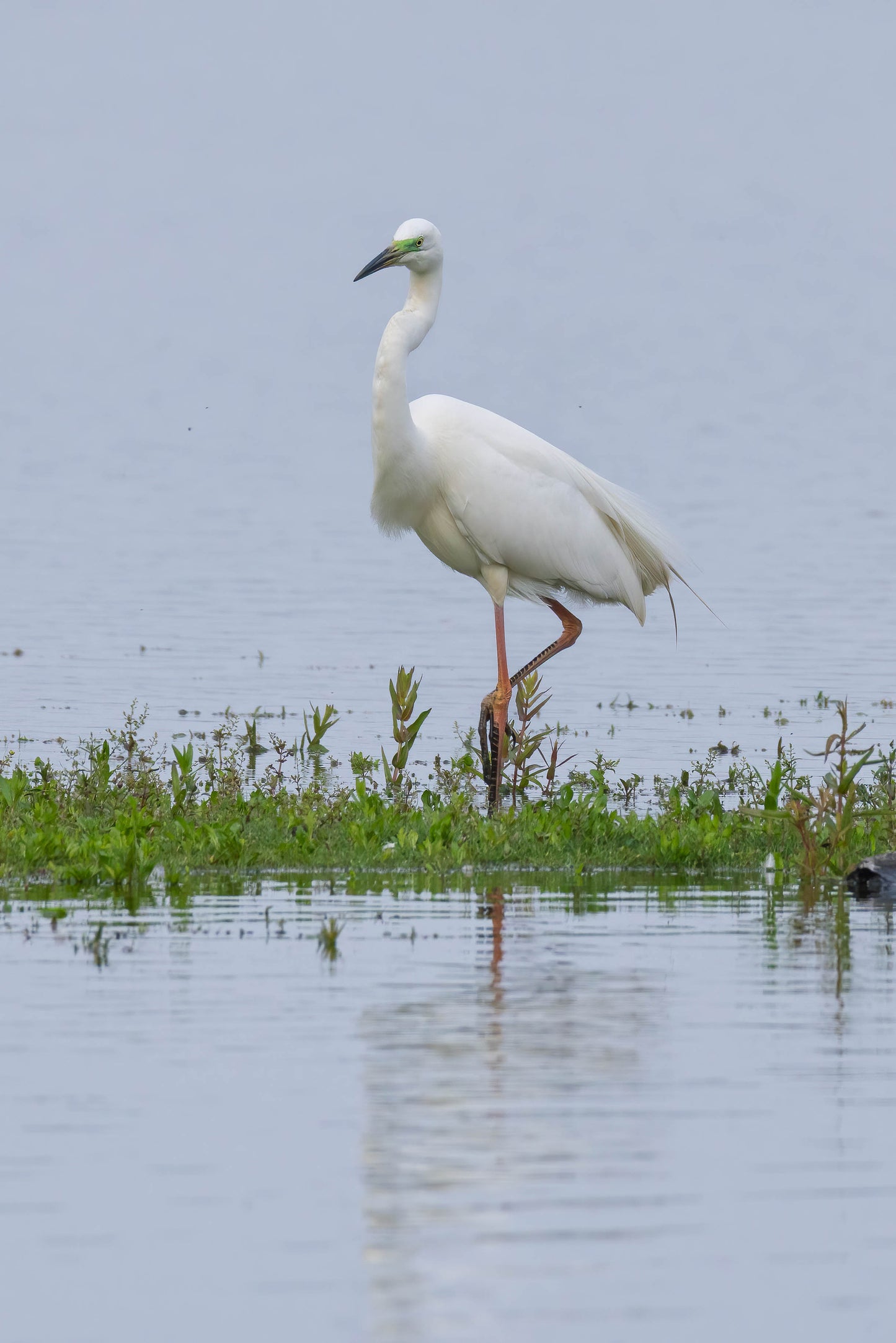 Natuurfotografie Weekend | 2 dagen, 3 workshops!