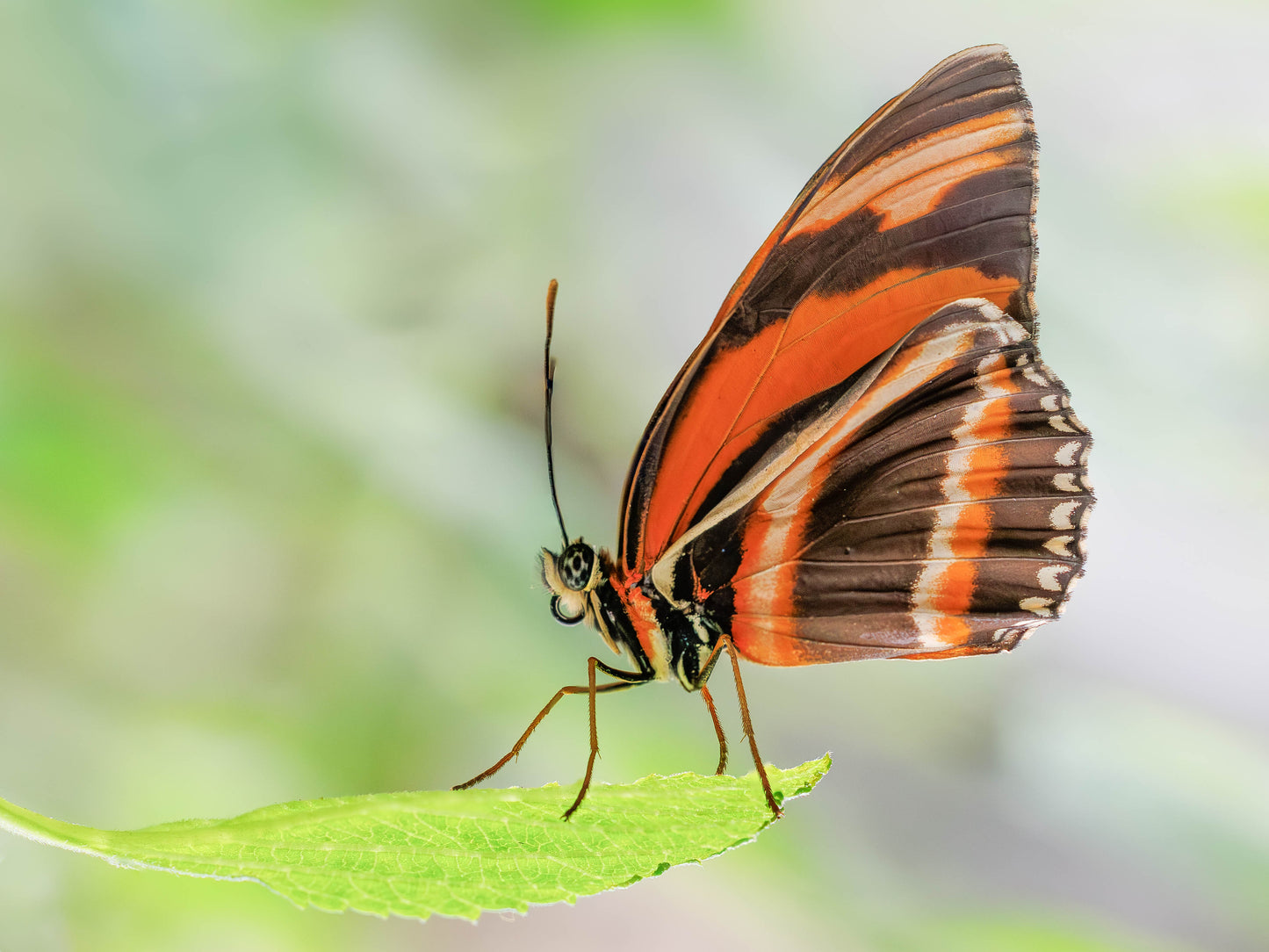 Natuurfotografie Weekend | 2 dagen, 3 workshops!