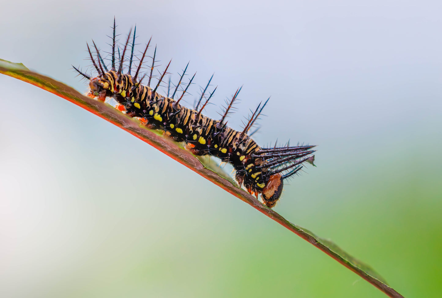 Natuurfotografie Weekend | 2 dagen, 3 workshops!