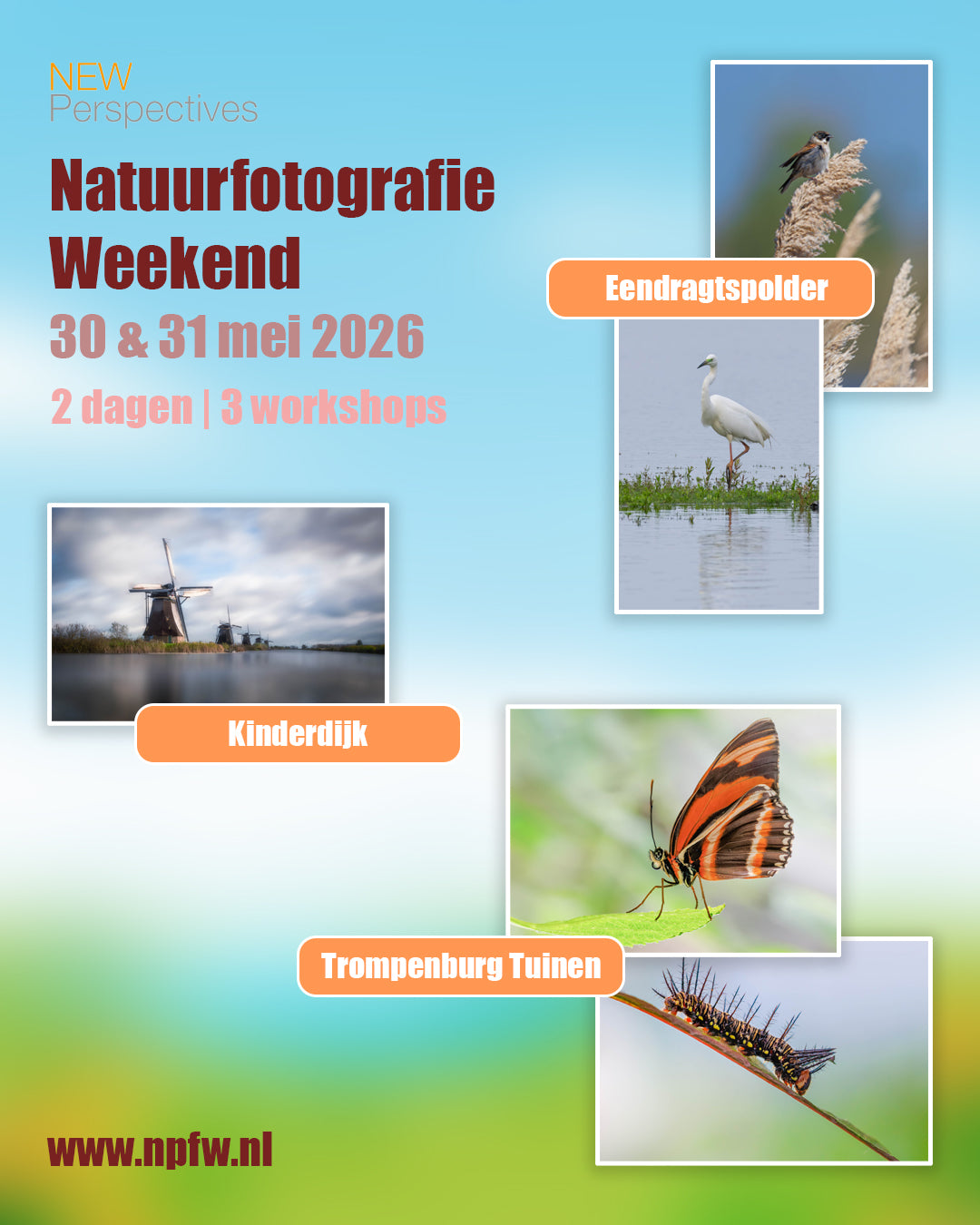 Natuurfotografie Weekend | 2 dagen, 3 workshops!