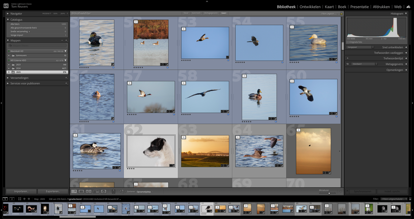 Online Cursus Adobe Lightroom Classic | 3 avonden LIVE incl. 180 dagen terugkijken