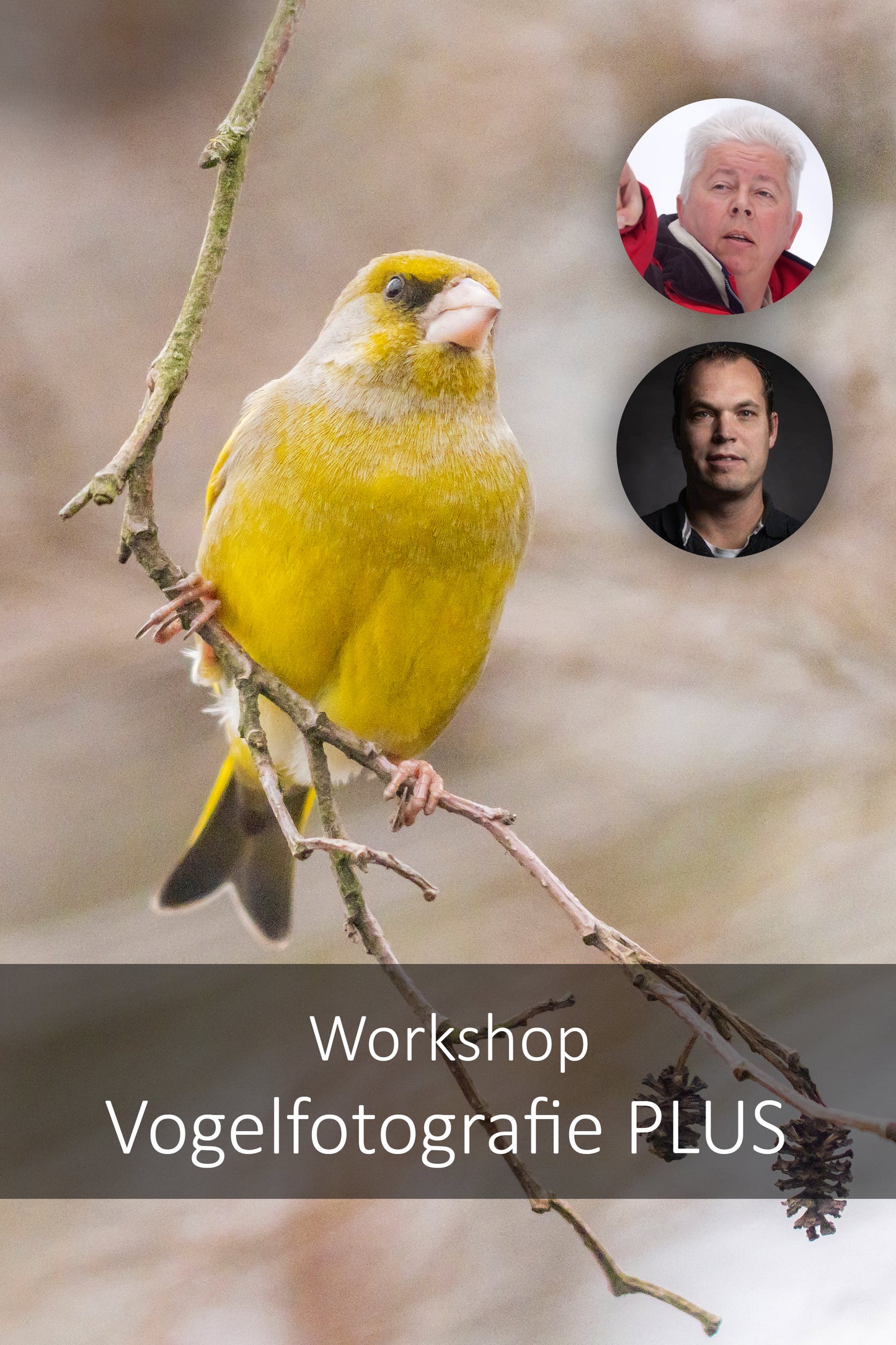 Workshop Vogelfotografie PLUS | Jaarsveld